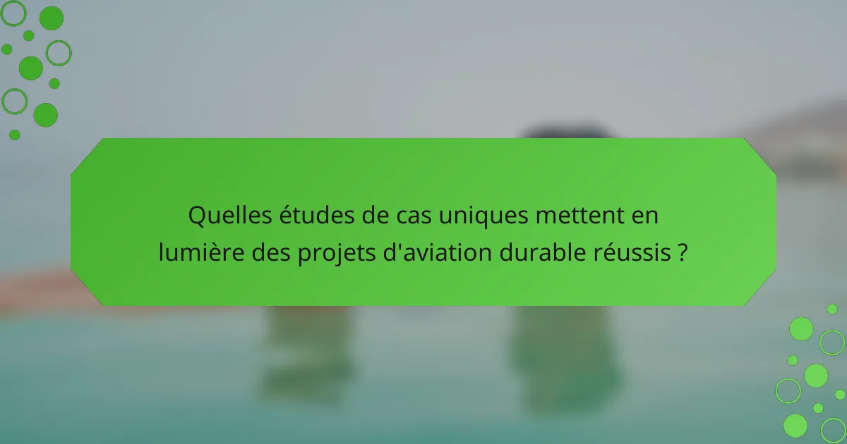 Quelles études de cas uniques mettent en lumière des projets d'aviation durable réussis ?