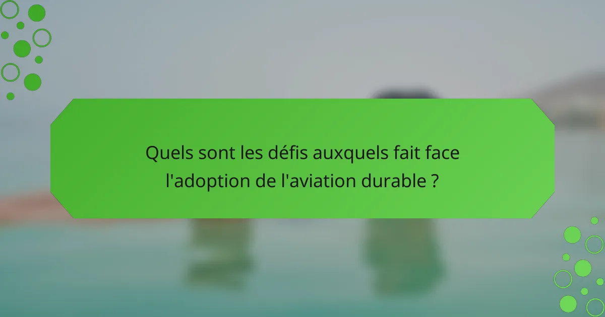 Quels sont les défis auxquels fait face l'adoption de l'aviation durable ?