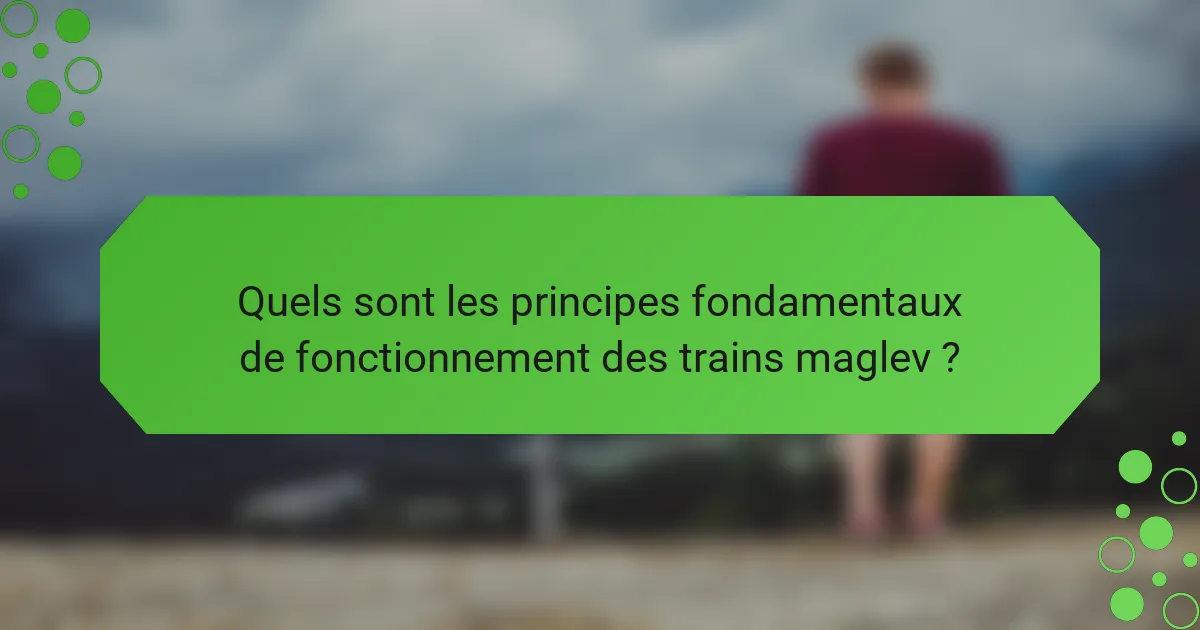 Quels sont les principes fondamentaux de fonctionnement des trains maglev ?
